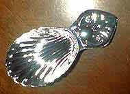 Spoon